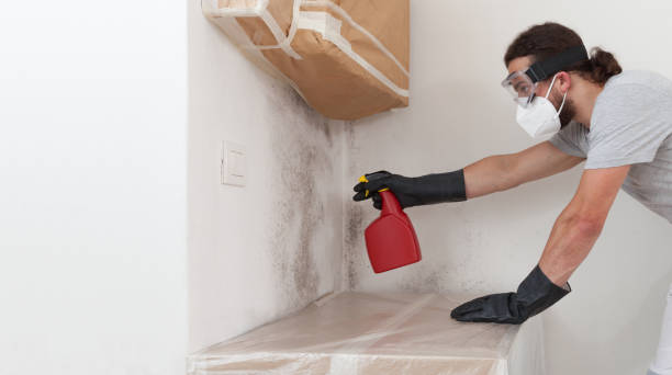 Professional Mold Testing technician working in Hamilton, VA